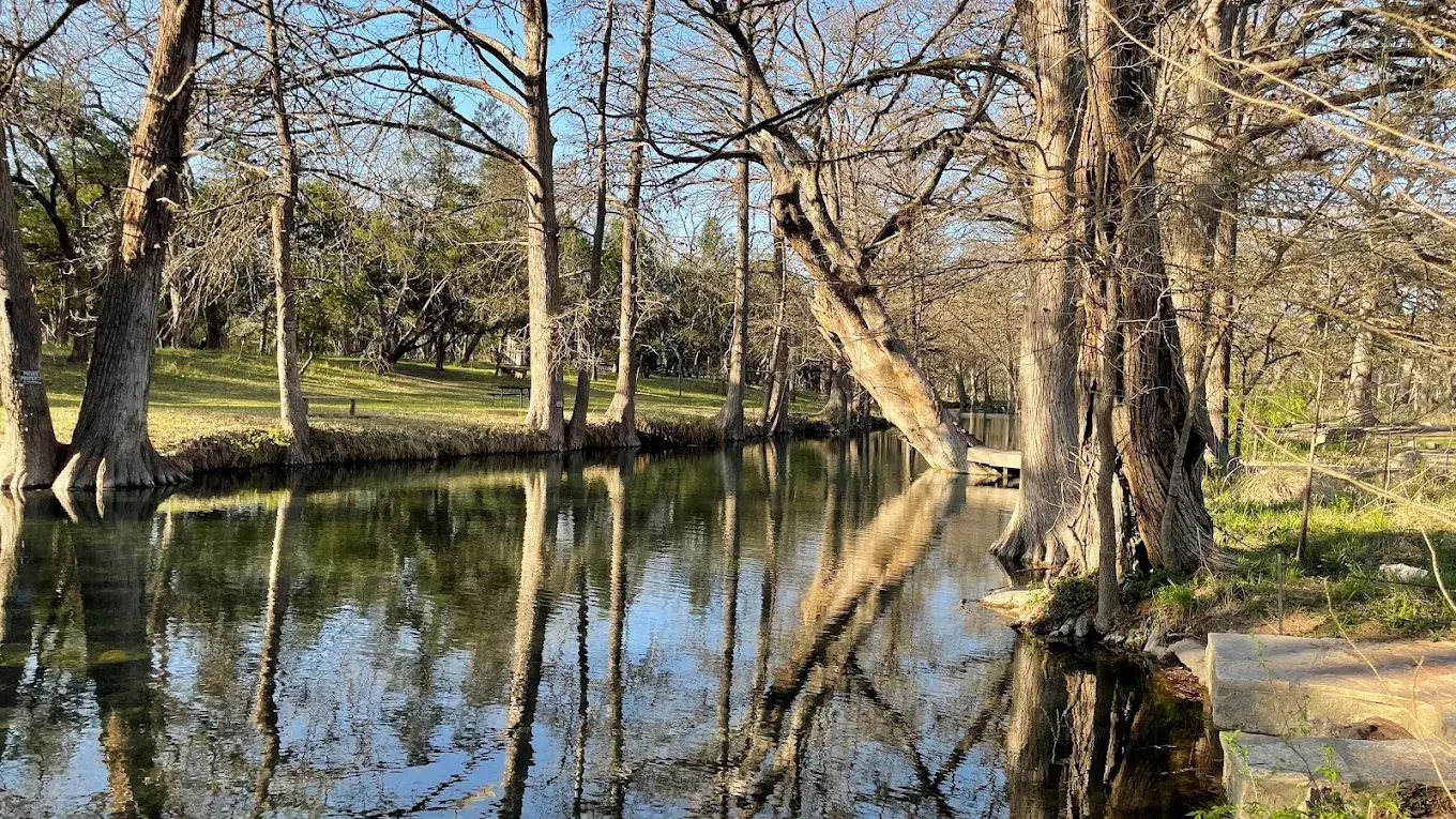 Cypress trees lining the swimming hole at Blue Hole Regional Park