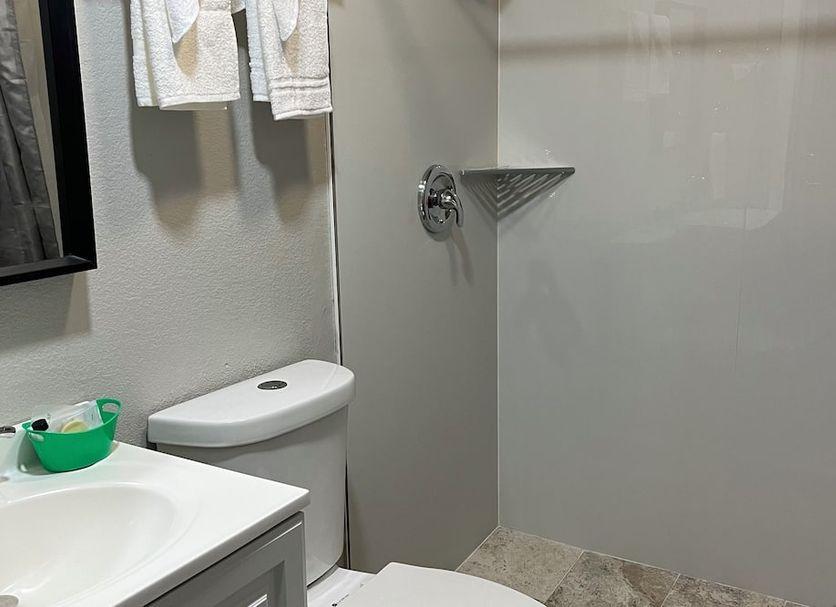 Private bathroom with a newly renovated shower and vanity