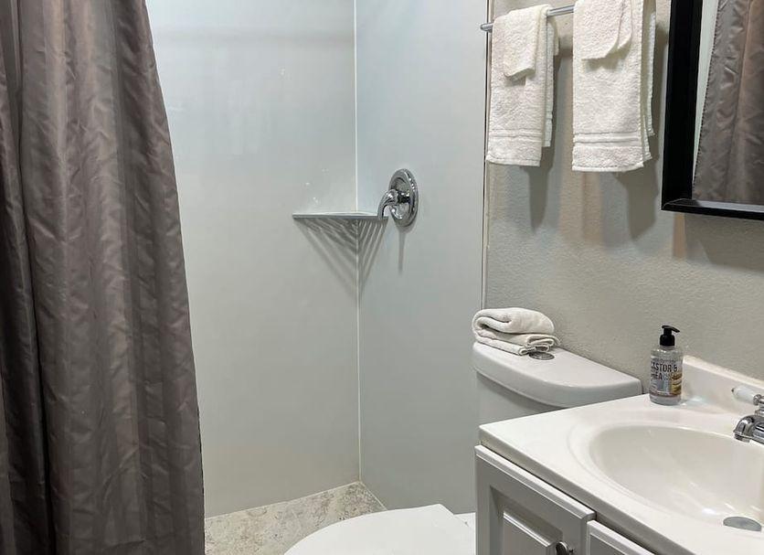 Bathroom with a newly renovated shower