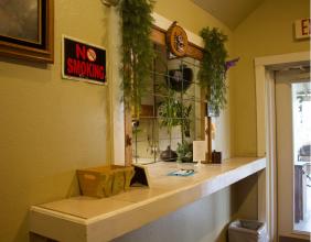 Front desk counter with plants and local information