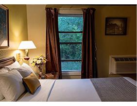 Bedside lamp, flowers and a curtained window in a guest room