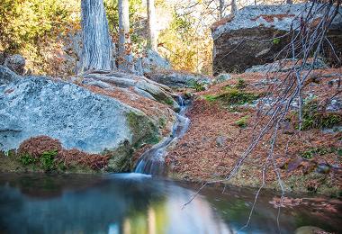 Waterfall and limestone grotto at Hamilton Pool Preserve